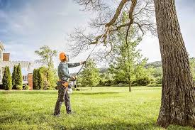 Best Pest Control for Lawns  in Santa Fe, TX