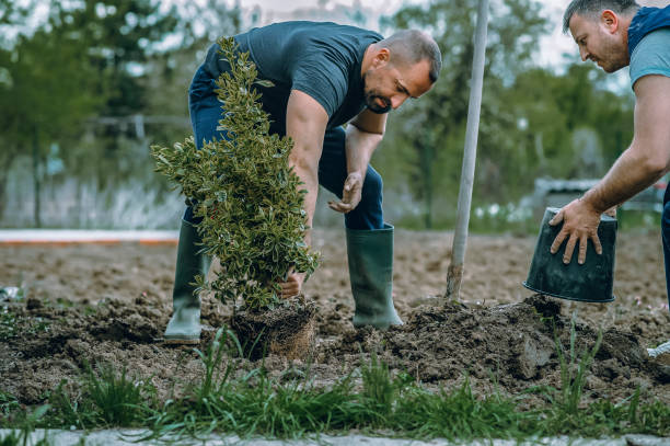 Lawn Irrigation Installation and Maintenance in Santa Fe, TX